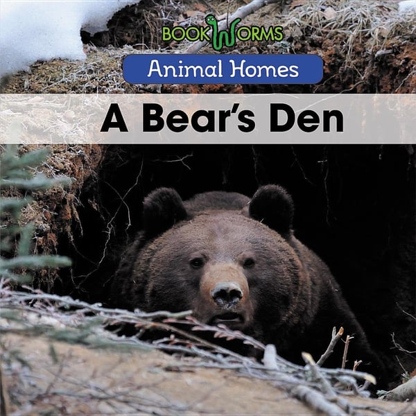Bear's Den, A