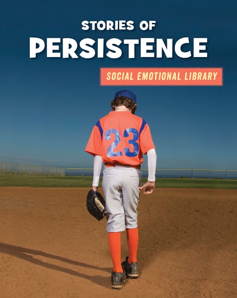 Stories Of Persistence