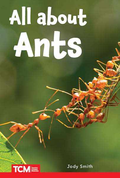 All About Ants