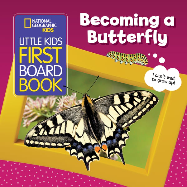 Becoming A Butterfly (Board Book)