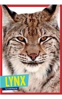 Lynx