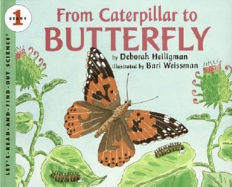 From Caterpillar To Butterfly (Big Book)