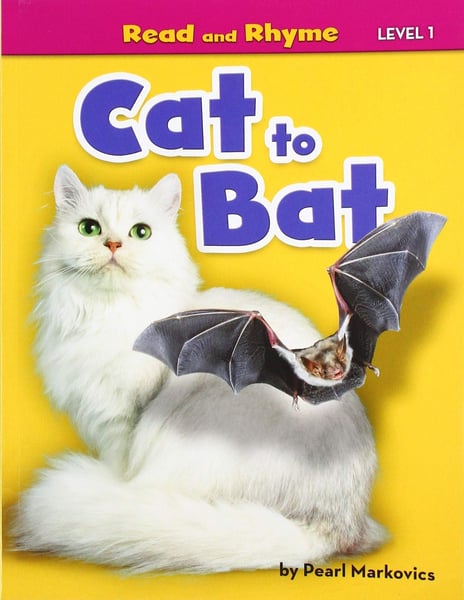Cat To Bat