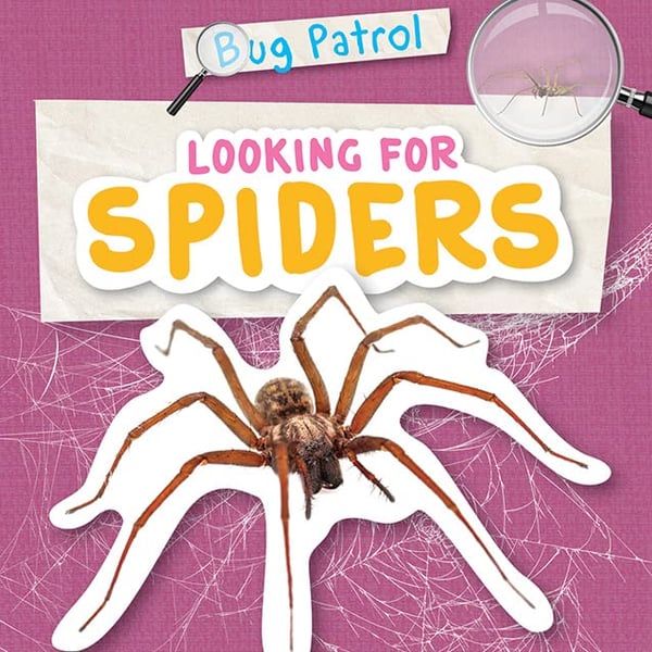 Looking For Spiders