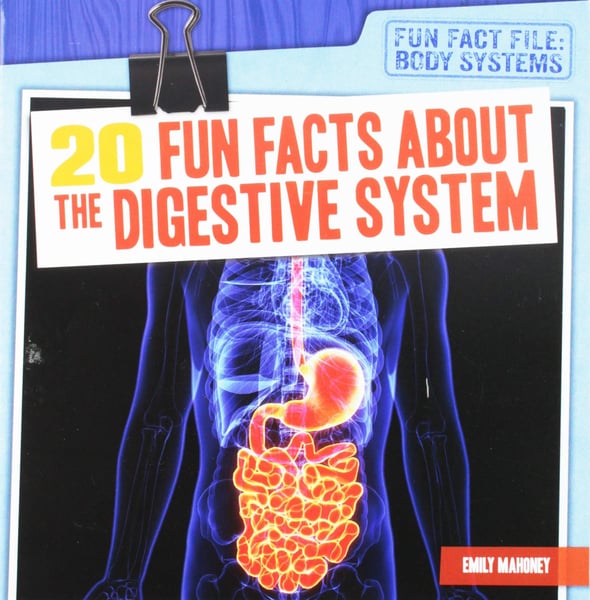 20 Fun Facts About The Digestive System