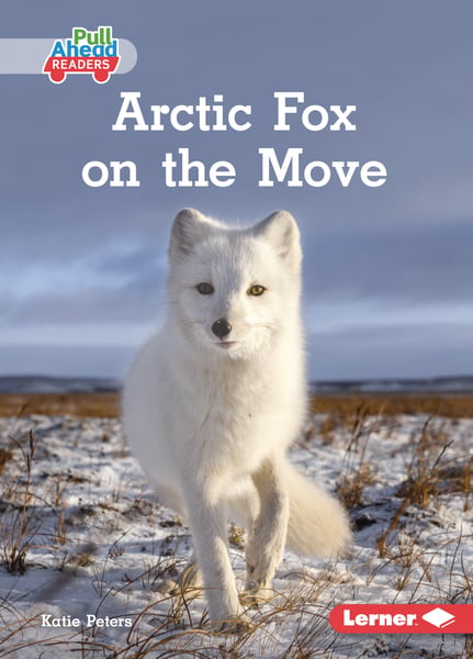 Arctic Fox On The Move