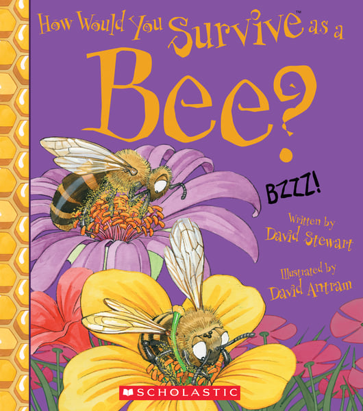 How Would You Survive As A Bee?