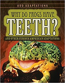 Why Do Frogs Have Teeth? And Other Curious Amphibian Adaptations