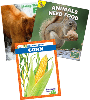 NGSS Kindergarten From Molecules To Organisms