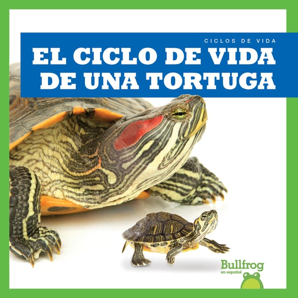 El Ciclo De Vida De Una Tortuga (A Turtle's Life Cycle)