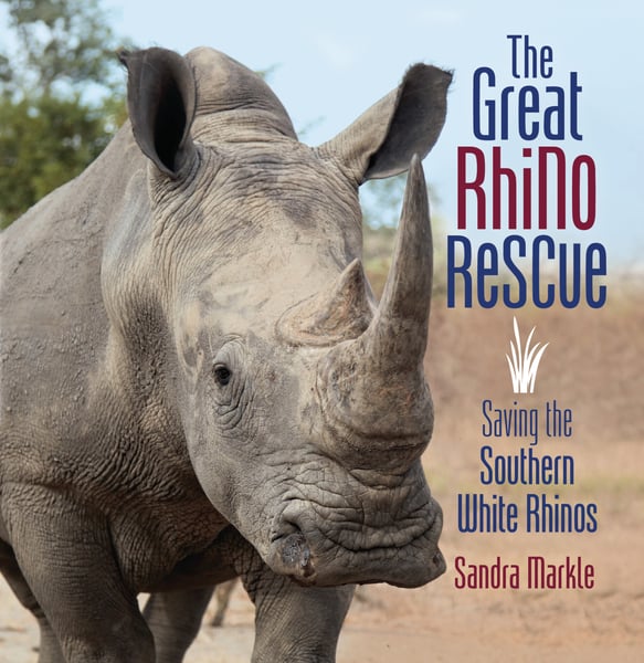 Great Rhino Rescue: Saving The Southern White Rhinos, The