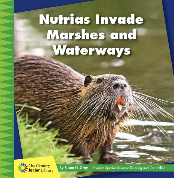 Nutrias Invade Marshes And Waterways