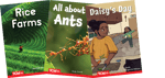 Decodable Books: Read & Succeed Complete Collection