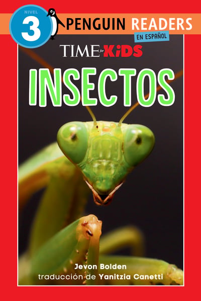 Insectos (Insects)