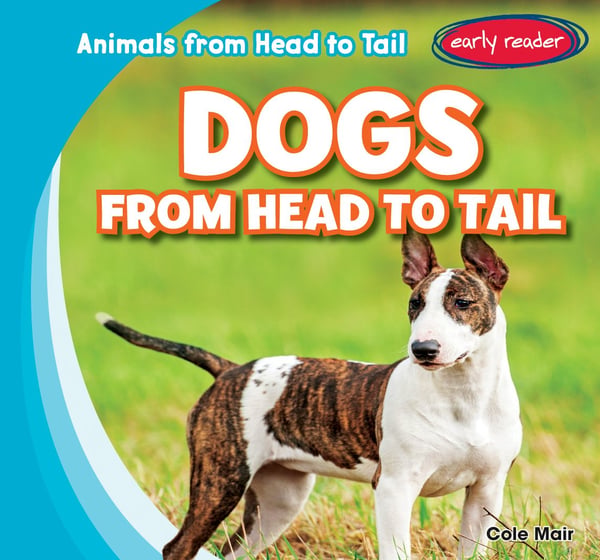 Dogs From Head To Tail