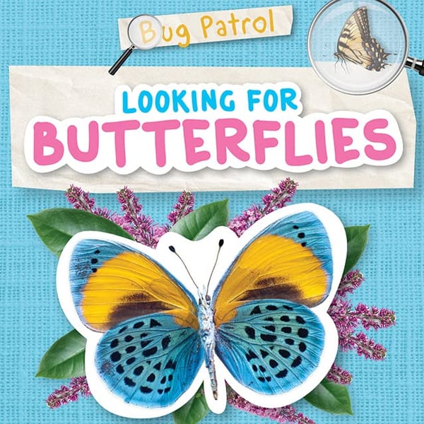 Looking For Butterflies
