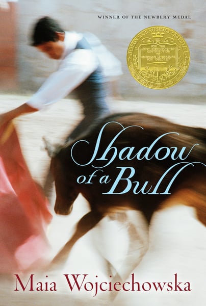 Shadow Of A Bull