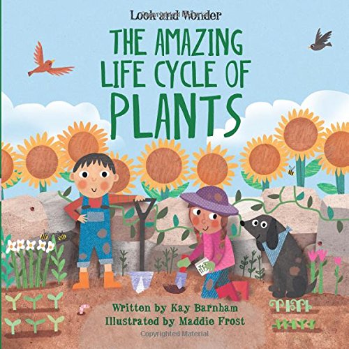 Amazing Life Cycle Of Plants, The