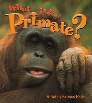 What Is A Primate?