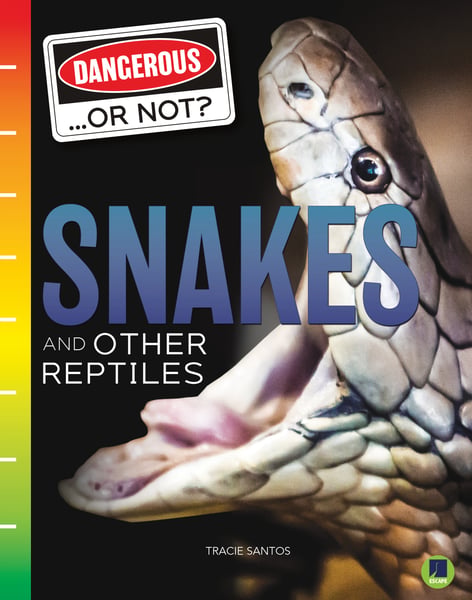 Snakes And Other Reptiles