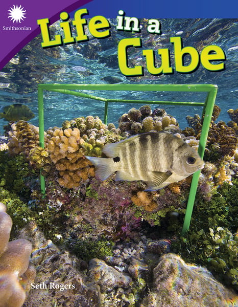 Life In A Cube