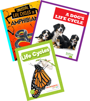NGSS Grade 3 From Molecules To Organisms