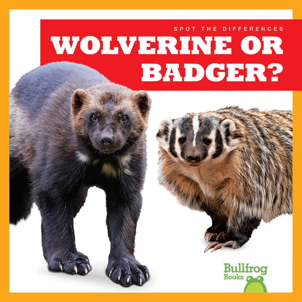 Wolverine Or Badger?