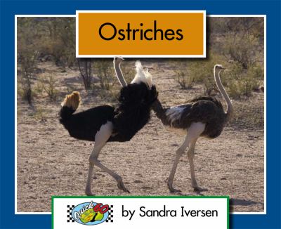 Ostriches