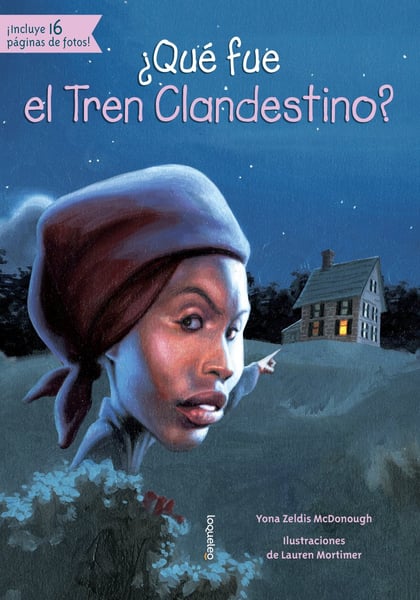 Que Fue El Tren Clandestino? (What Was The Underground Railroad?)