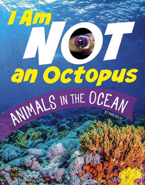 I Am Not An Octopus: Animals In The Ocean