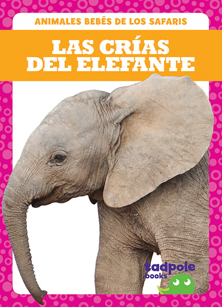 Las Crias Del Elefante (Elephant Calves)