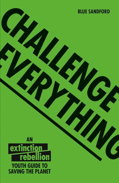 Challenge Everything: An Extinction Rebellion Youth Guide To Saving The Planet