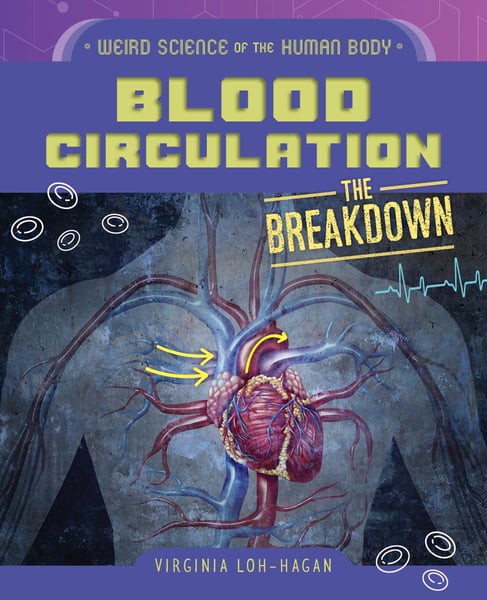 Blood Circulation