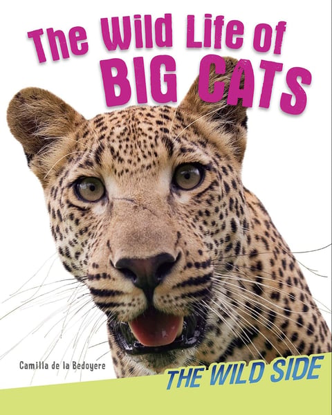 Wild Life Of Big Cats, The
