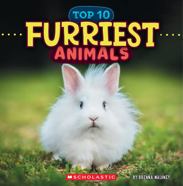 Furriest Animals