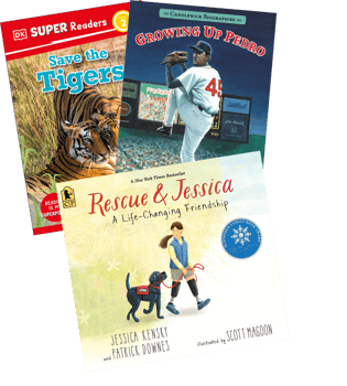 Below Level Reading Grade 4 (L-P)