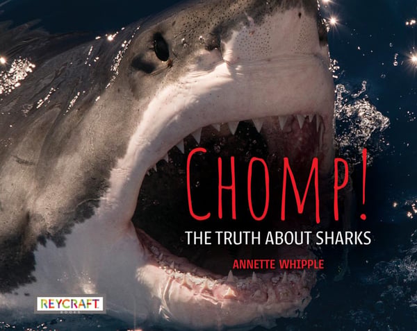 Chomp!: The Truth About Sharks