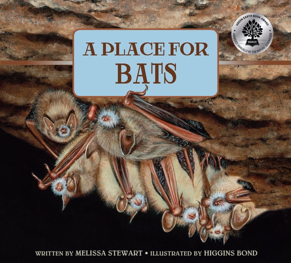 Place For Bats, A