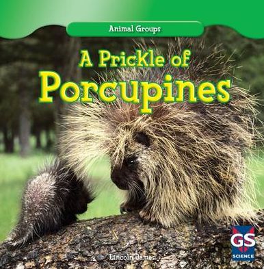 Prickle Of PorcupInes, A