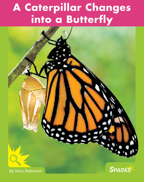 Caterpillar Changes Into A Butterfly, A