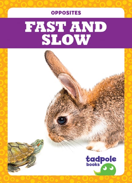 Fast And Slow