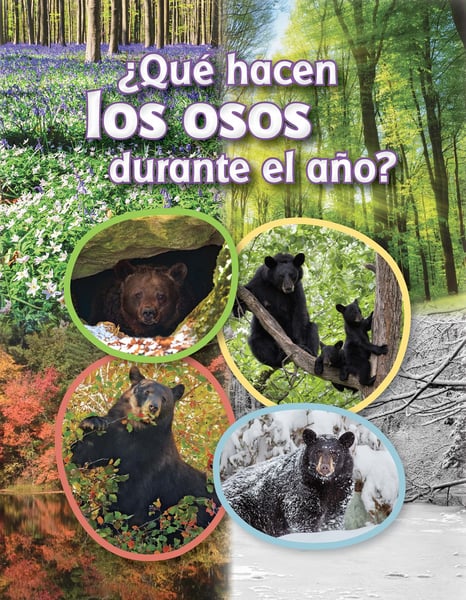 Que Hacen Los Osos Durante El Ano? (What Do Bears Do All Year?)