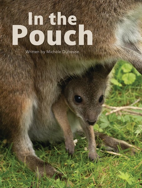 In The Pouch