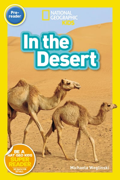 In The Desert