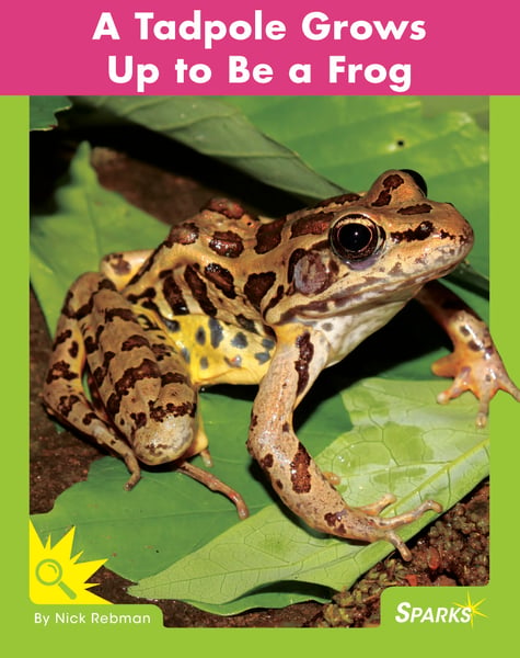 Tadpole Grows Up To Be A Frog, A