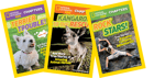 Level N Nonfiction National Geographic Chapters