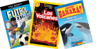 Take Home Pack, Grade 3 Bestsellers (Spanish)
