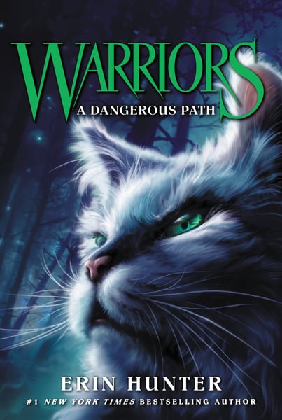 Dangerous Path, A