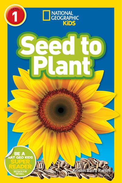 Seed To Plant