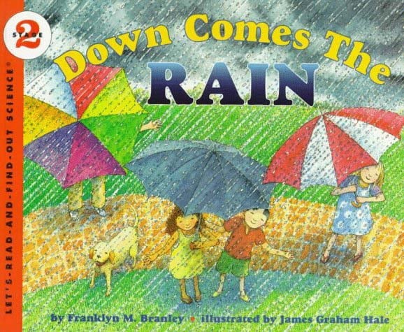 Down Comes The Rain